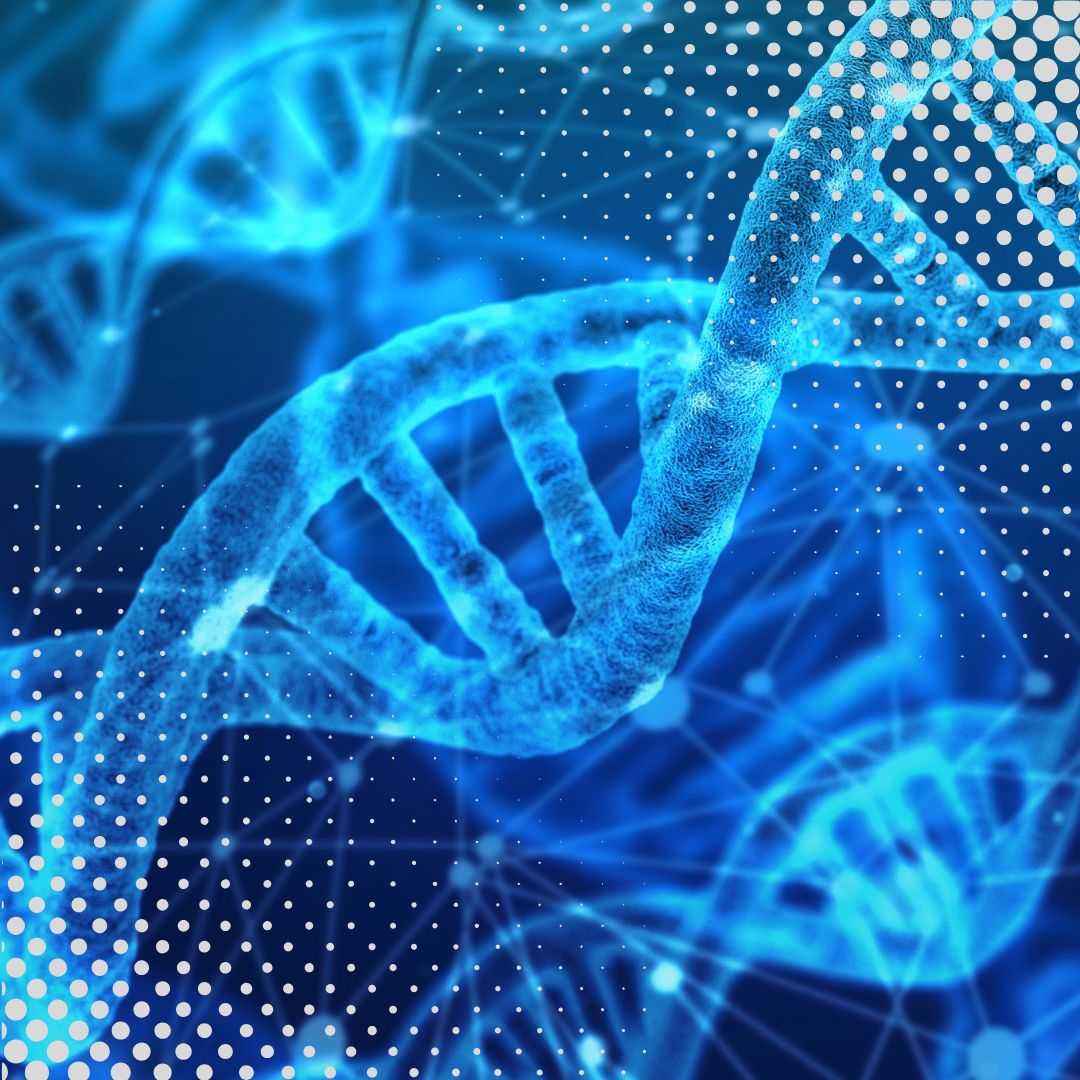 Stammzellentherapie in der Slowakei