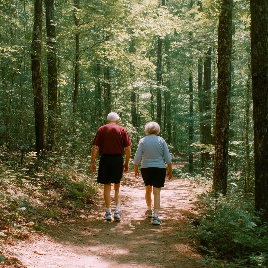 Forest Bathing & Nature Retreats