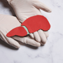 Lebertransplantationspaket in Ankara, Türkei thumbnail
